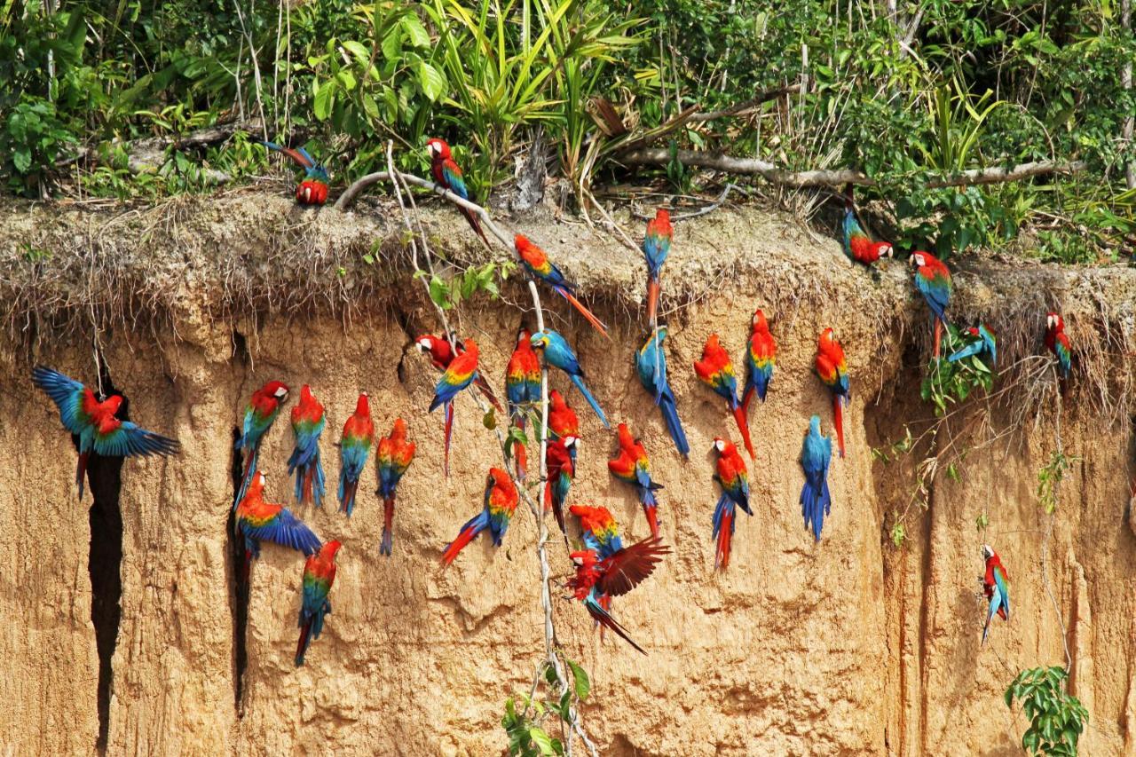 Wasai Tambopata Lodge Ngoại thất bức ảnh
