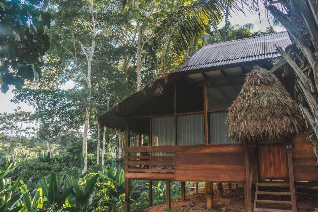 Wasai Tambopata Lodge Ngoại thất bức ảnh