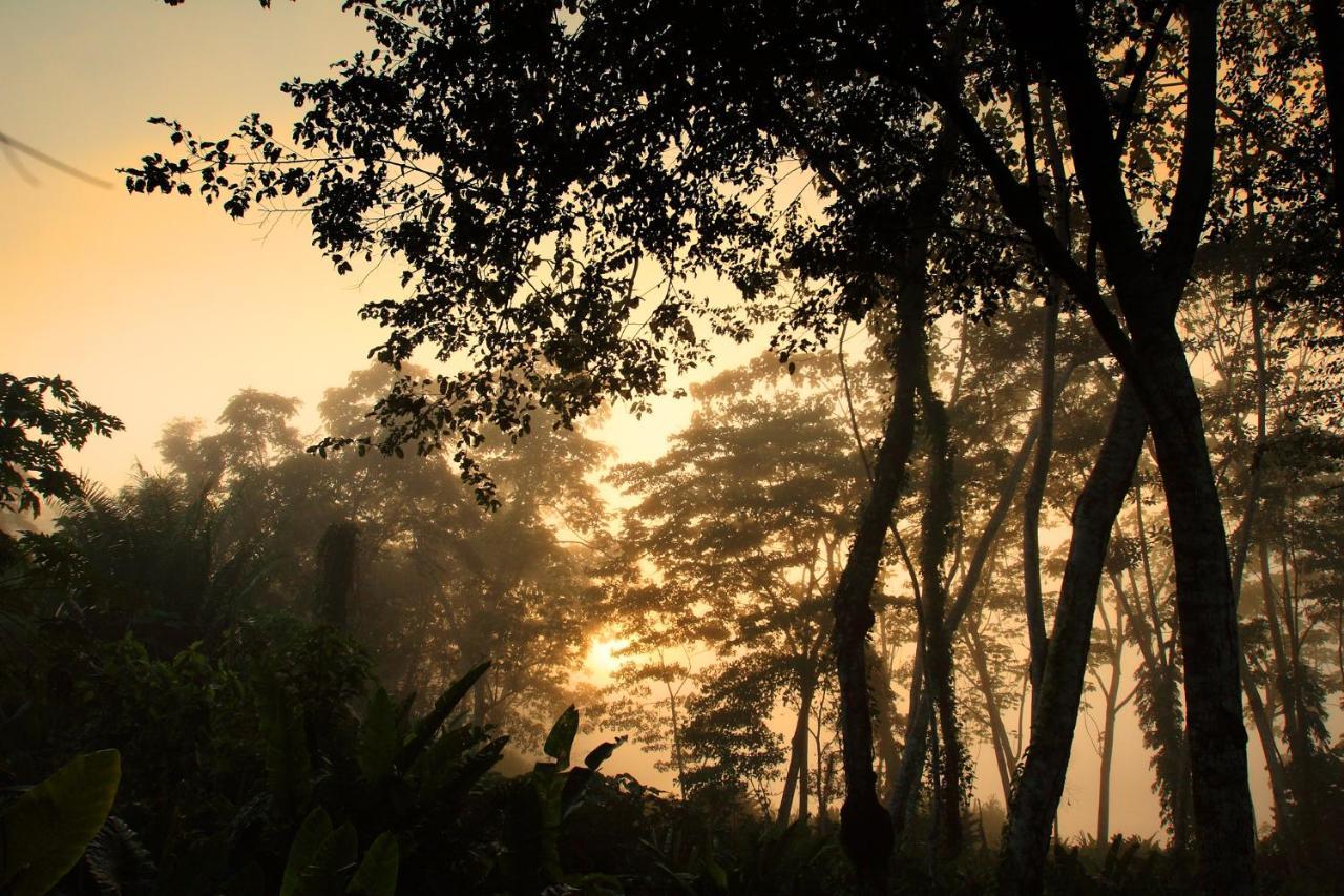 Wasai Tambopata Lodge Ngoại thất bức ảnh