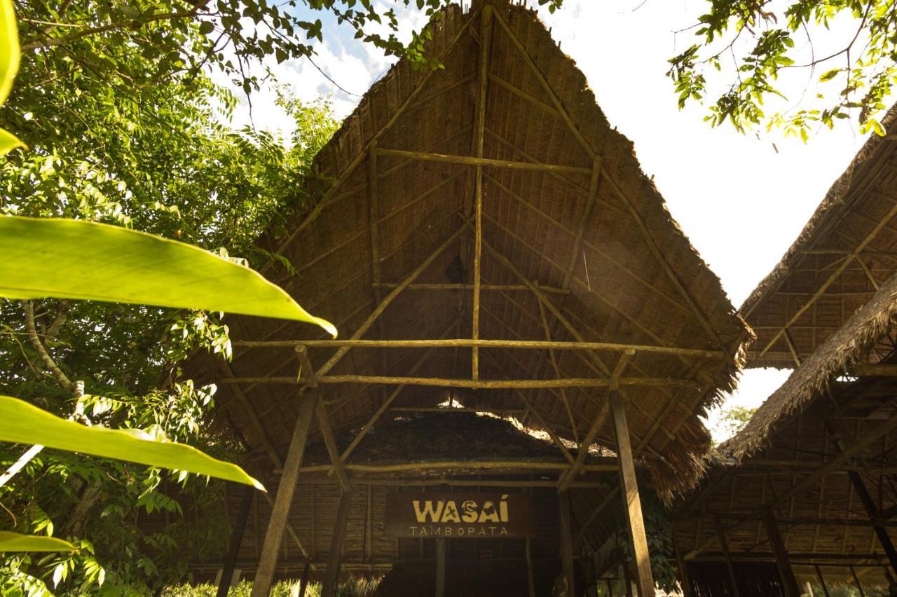 Wasai Tambopata Lodge Ngoại thất bức ảnh